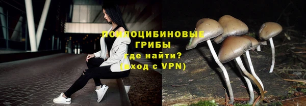хмурый Белокуриха