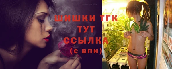 хмурый Белокуриха