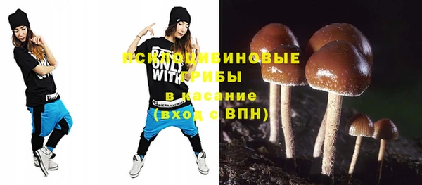 хмурый Белокуриха