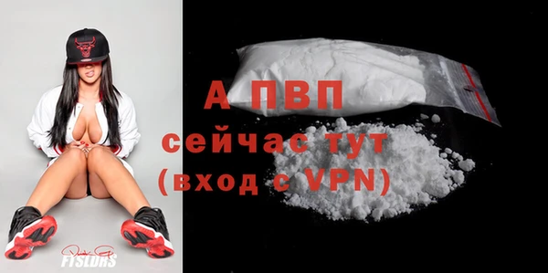 хмурый Белокуриха