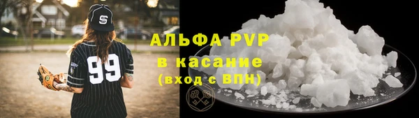 хмурый Белокуриха