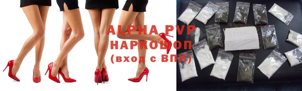 хмурый Белокуриха