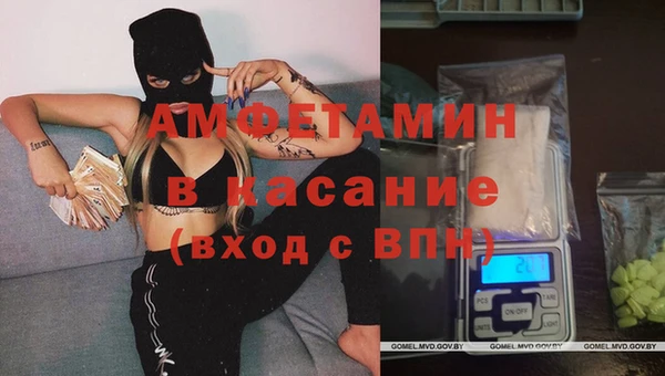 хмурый Белокуриха