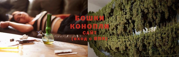 хмурый Белокуриха