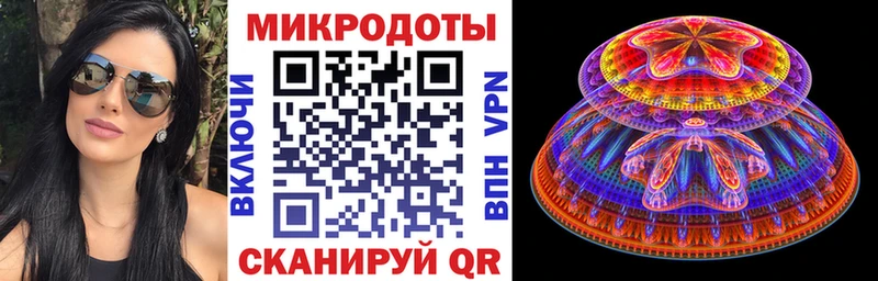где купить   блэк спрут онион  Галлюциногенные грибы Psilocybe  Костомукша 